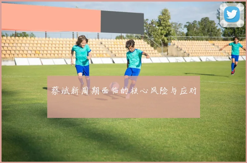 蔡斌新周期面临的核心风险与应对