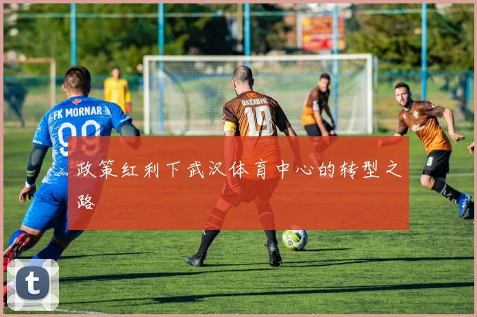 政策红利下武汉体育中心的转型之路