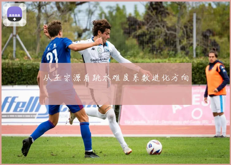 从王宗源看跳水难度系数进化方向