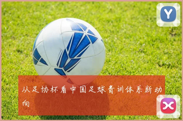 从足协杯看中国足球青训体系新动向