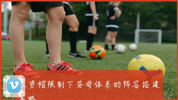 工资帽限制下芬奇体系的阵容搭建策略