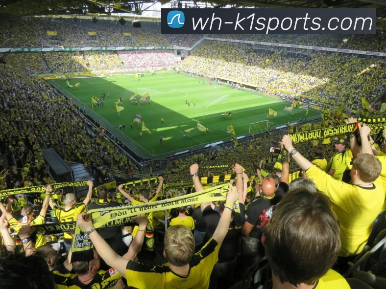 k1sportsAPP 封面图